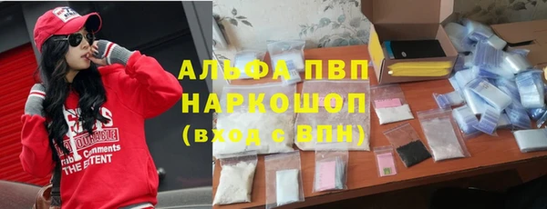 гашиш Богданович