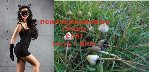 скорость Балахна