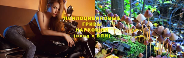 твердый Богородск